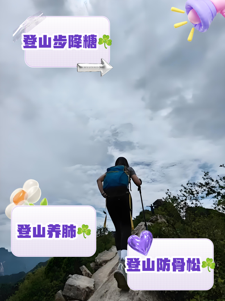 星空vip-特色登山徒步穿越，探索未知的自然奇妙的简单介绍