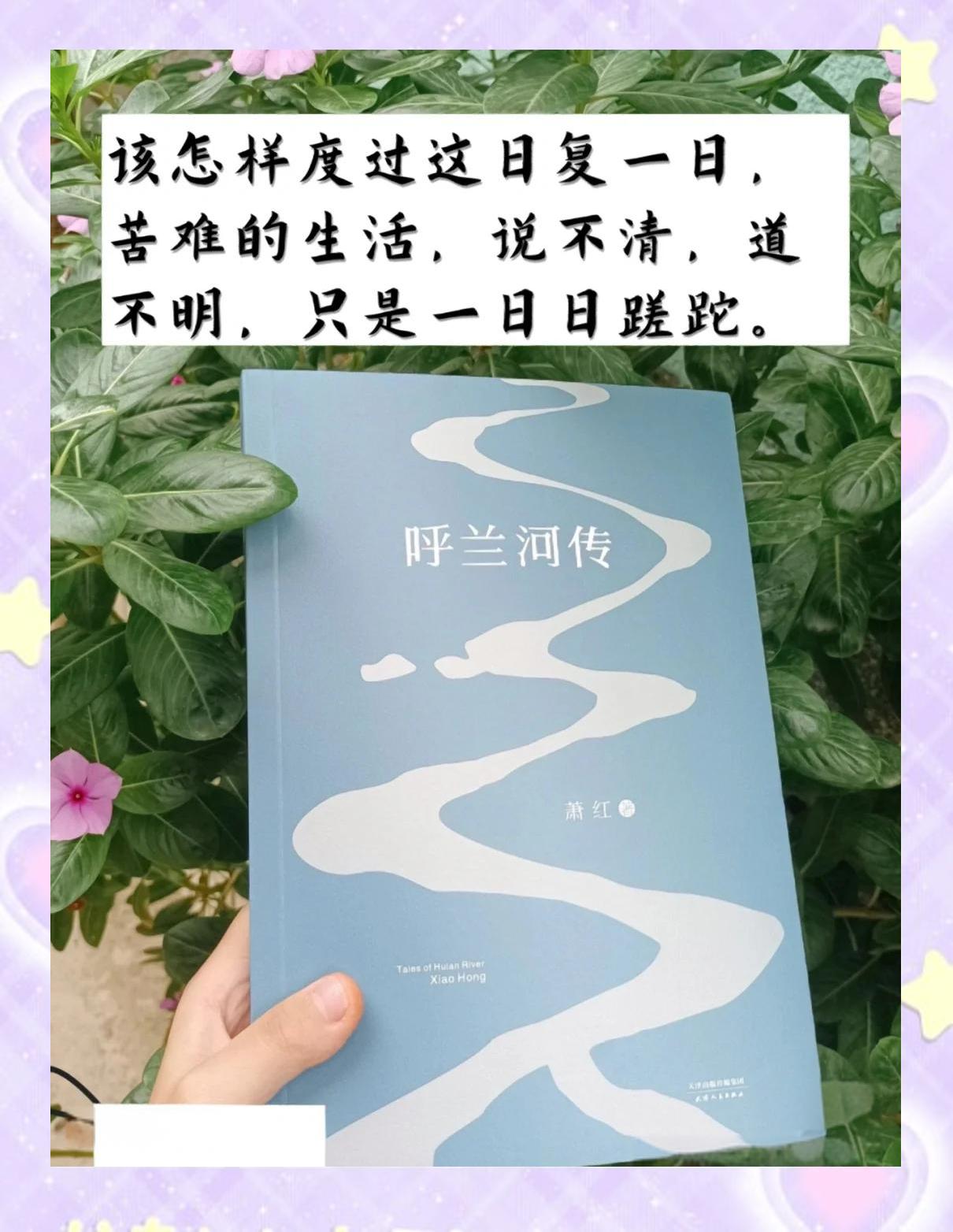 XingkongSports-&quot;红土季节：泥泞中的坚韧与荣耀&quot;的简单介绍