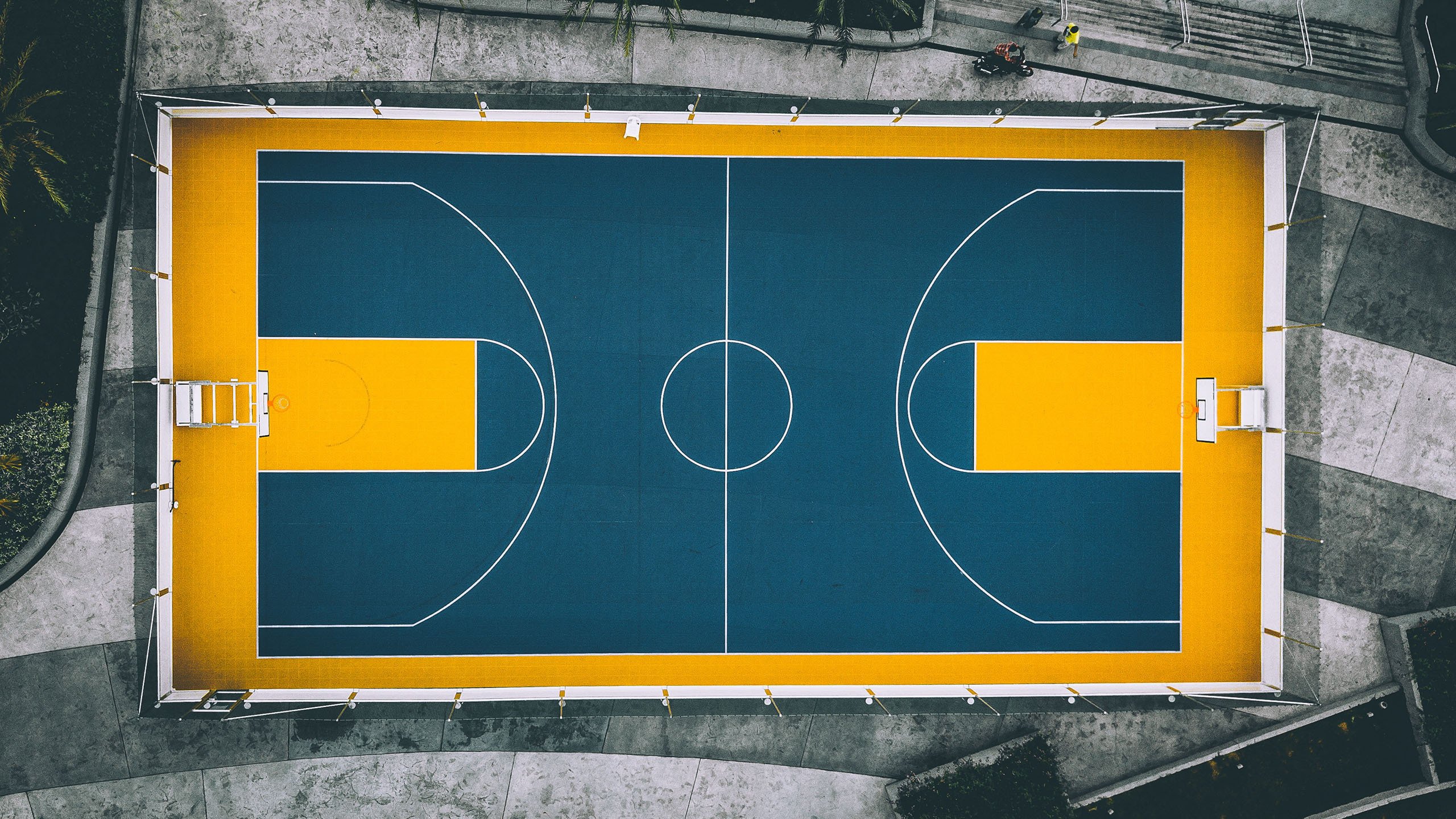 APP下载 星空 Sports-OG·阿努诺比在NBA常规赛中展现比赛智慧，og阿奴诺比前景