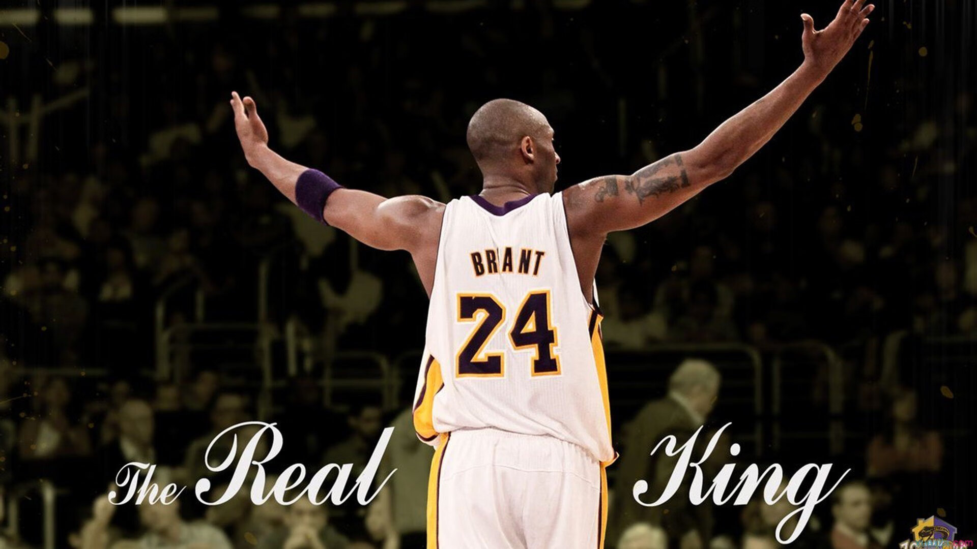 Kaiyun APP-赛季最大黑马：突如其来的惊喜崛起队伍